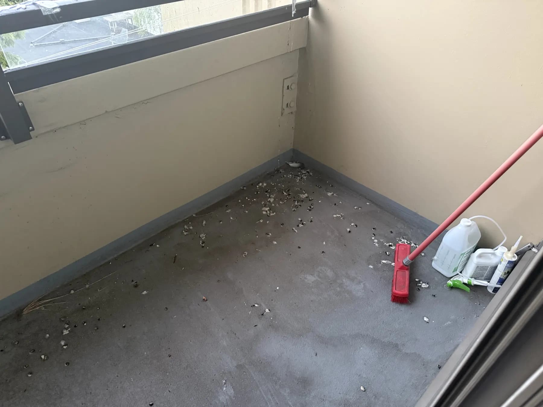 Balcony floor with pigeon droppings before cleanup and bird netting installation