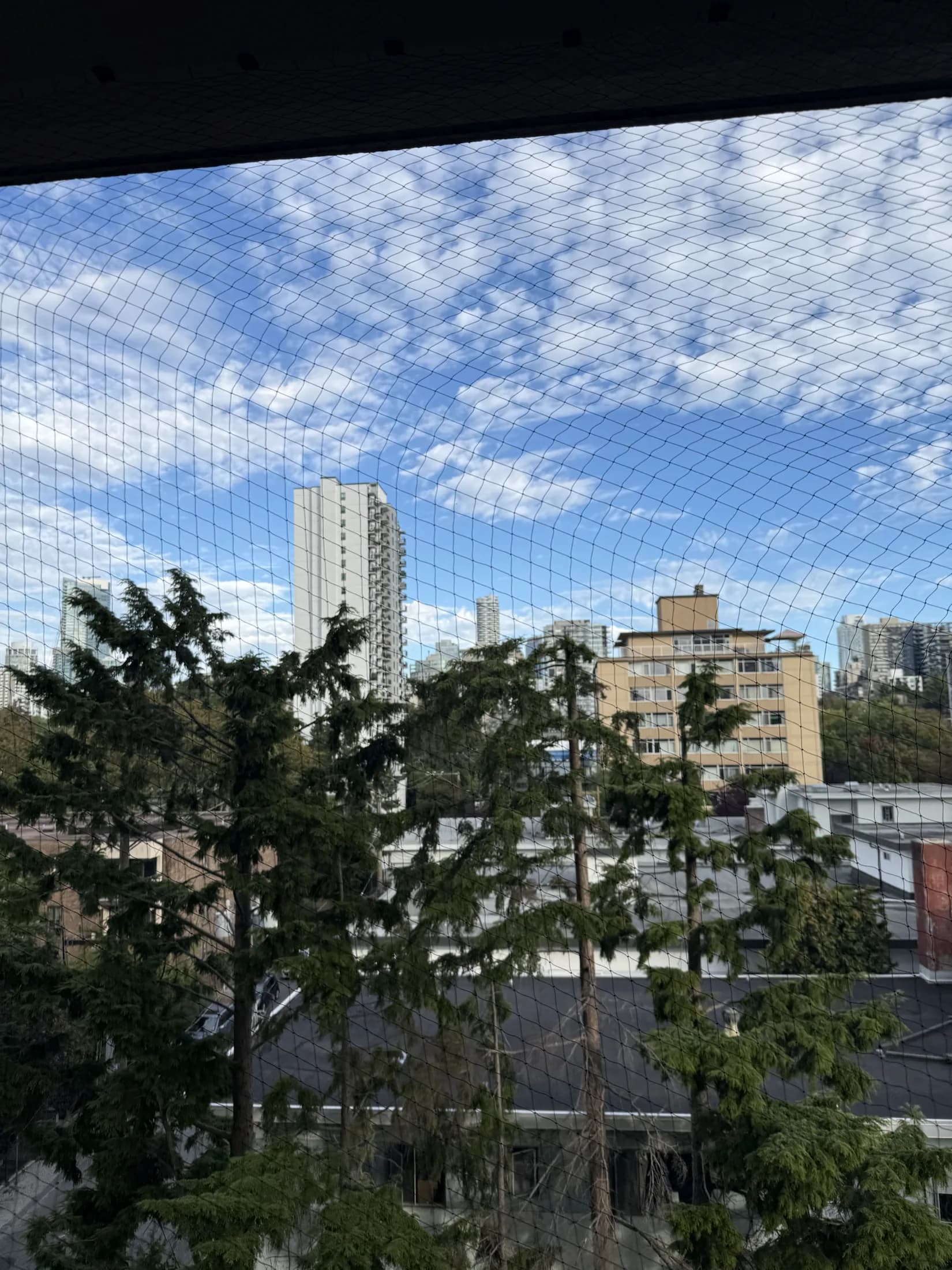 Completed balcony bird netting overlooking Vancouver and the Lower Mainland